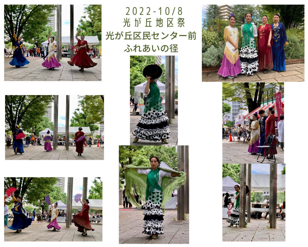 光が丘地区祭
